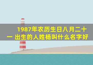 1987年农历生日八月二十一 出生的人姓杨叫什么名字好